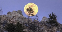 Black Hills.jpg